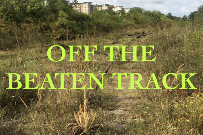 Off the beaten track garden design