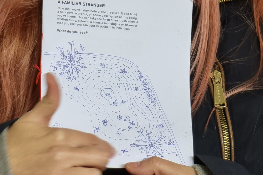 Person is pointing to an illustration of a map they made from their observations in the park