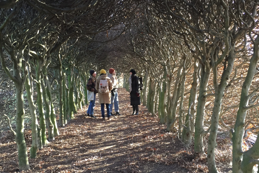 Group of people chatting beneath a row of trees