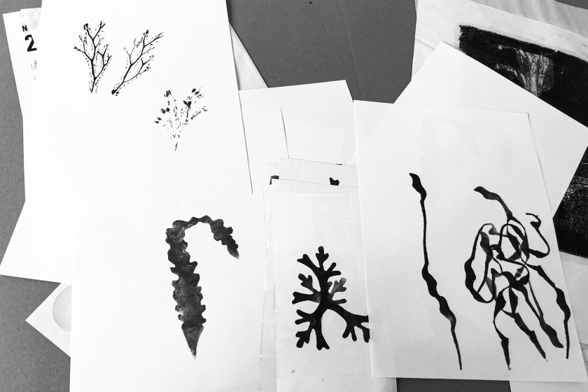 Experimental seaweed prints.