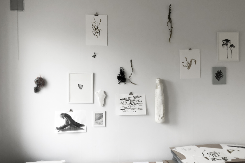 studio wall with findings form the ocean and pictures